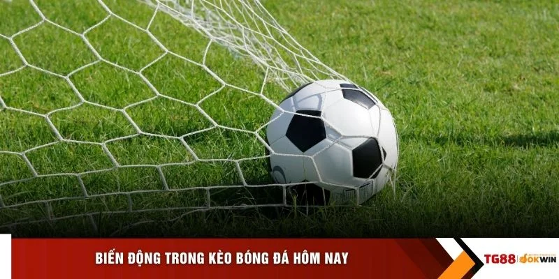 Biến động trong kèo bóng đá hôm nay