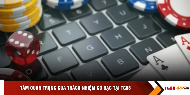 Tầm quan trọng của trách nhiệm cờ bạc tại TG88