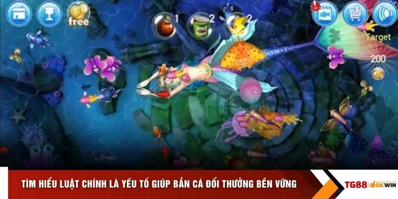 Tìm hiểu luật chính là yếu tố giúp bắn cá đổi thưởng bền vững